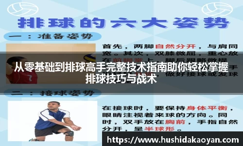 从零基础到排球高手完整技术指南助你轻松掌握排球技巧与战术