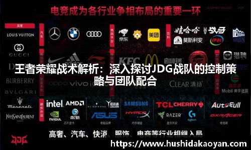 王者荣耀战术解析：深入探讨JDG战队的控制策略与团队配合