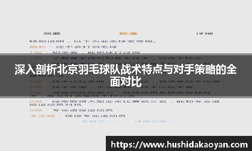 深入剖析北京羽毛球队战术特点与对手策略的全面对比
